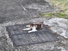 -一锅厨东北水饺店(厦大店)