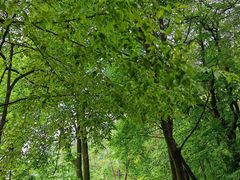 -终南山南五台景区