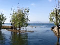 -洱海月湿地公园