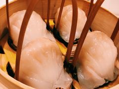 -金鼎轩(亚运村店)