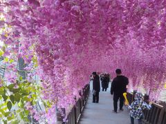 -沕沕水生态风景区