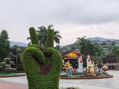 -呀诺达热带雨林
