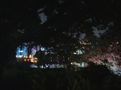 -南宁南湖公园