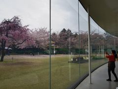 -金泽21世纪美术馆