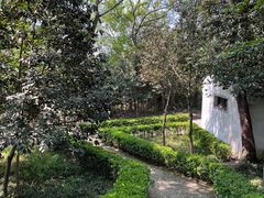 -上海佘山国家森林公园天马山园