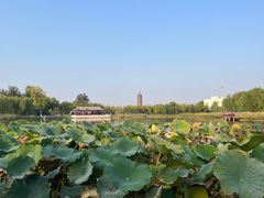 -西海子公园