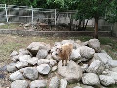 -青峰峡国家森林公园