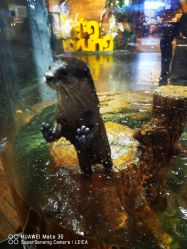 -Zoolung Zoolung动物主题公园(海信广场店)