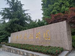 -铁山坪森林公园