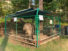 -西双版纳融创皇冠假日度假酒店