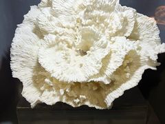 -天津自然博物馆