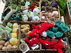 -安徽省地质博物馆