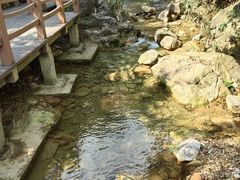 -南海湾森林生态园