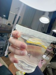 -四季·予你日式美甲美睫Nail