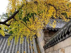 -青岛崂山太清宫