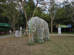 -野象谷景区