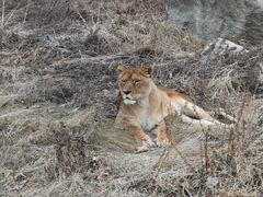 -西安秦岭野生动物园