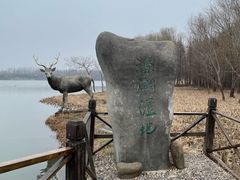 -溱湖国家湿地公园