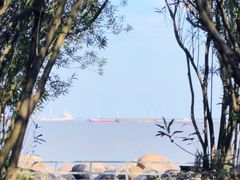 -上海吴淞炮台湾国家湿地公园