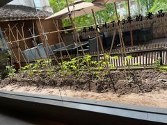 -黄山老妈·土菜(碧桂园店)