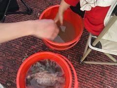 -会江钓鱼钓虾烧烤场