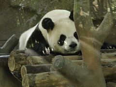 -宁波野生动物园