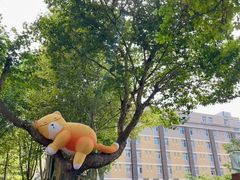 -西安电影制片厂