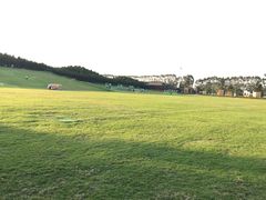 -迪茵湖田家舍生态农场
