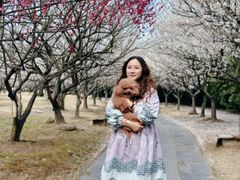 -香雪海
