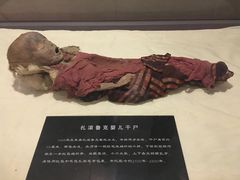 -巴音郭楞蒙古自治州博物馆