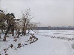 -长春市南湖公园