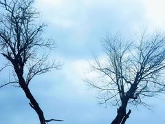 -硗碛藏寨·神木垒景区