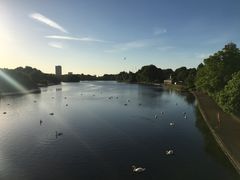 -海德公园