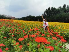 -长春世界雕塑园冰雪艺术天地