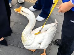 -雍和宫(地铁站)