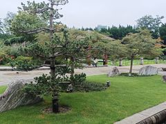 -嘉定紫藤园