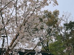-龙华寺