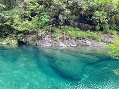 -石台牯牛降景区