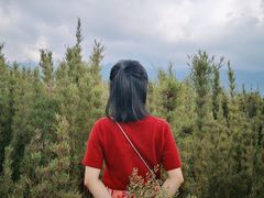-石棉县孟获城