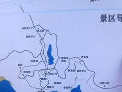 -广东惠东海龟国家级自然保护区