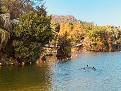 -星湖旅游景区七星岩