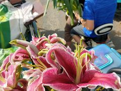 -么肆烤肉(蓝山名邸店)