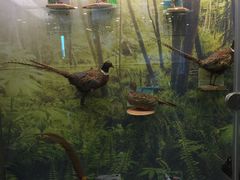 -下渚湖国家湿地公园科普馆