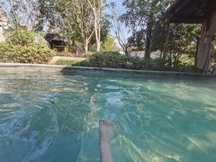 -苏州湾·王焰温泉