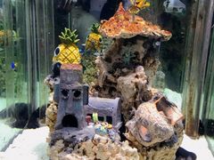 -太平洋海底世界