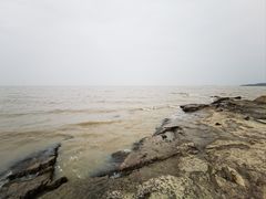 -苏州太湖西山岛开心农场