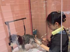 -FAELING PETS美天灵宠物(合生汇店)