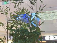 -九田家黑牛烤肉料理(溧阳吾悦店)