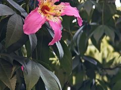 -深圳湾万象城(南山店)