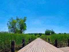 -马家湾湿地公园